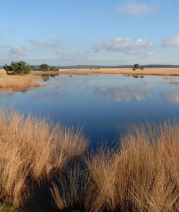 Hoge Veluwe Park